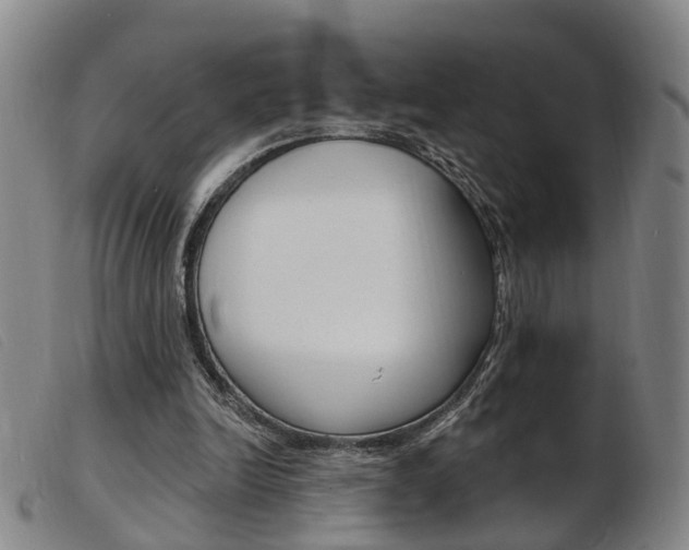 X0000103950246200809191217