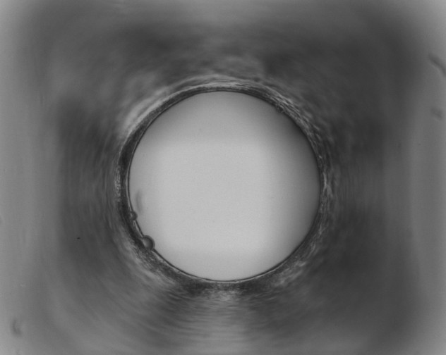 X0000103950247200809191217