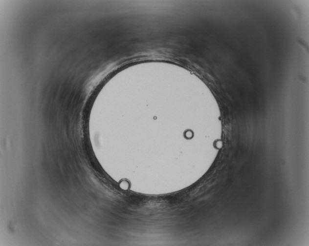 X0000103950248200809191217