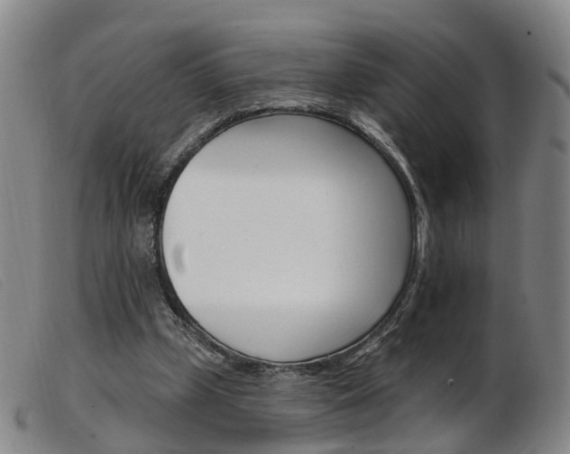X0000103950249200809191217