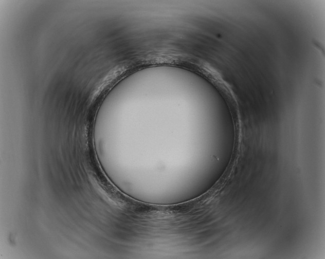 X0000103950250200809191217
