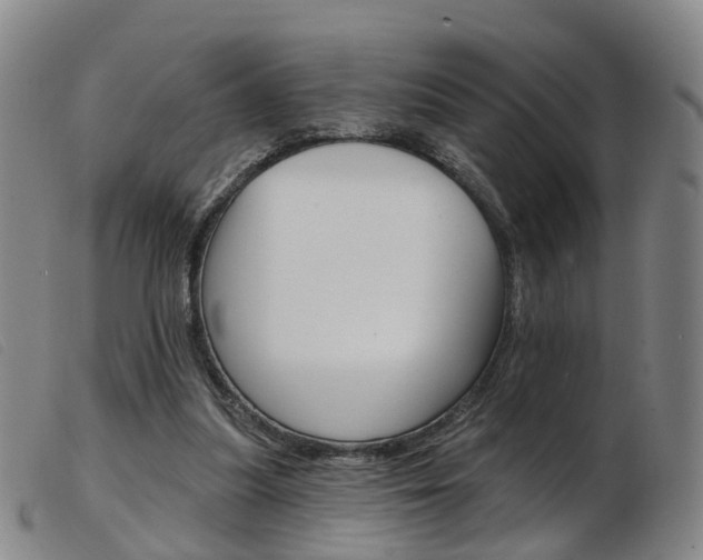 X0000103950251200809191217