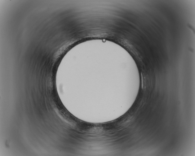X0000103950252200809191217