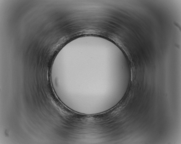 X0000103950253200809191217
