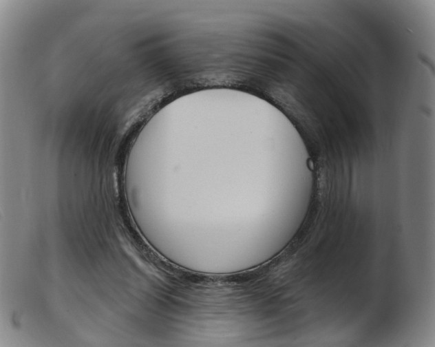 X0000103950254200809191217