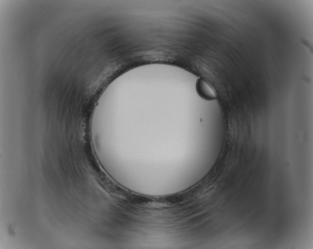 X0000103950255200809191217