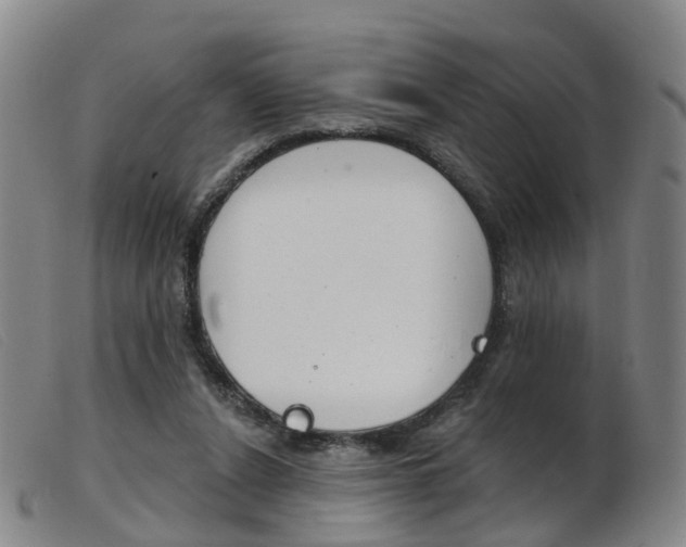 X0000103950256200809191217