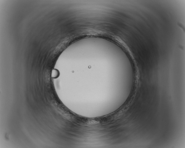 X0000103950257200809191217
