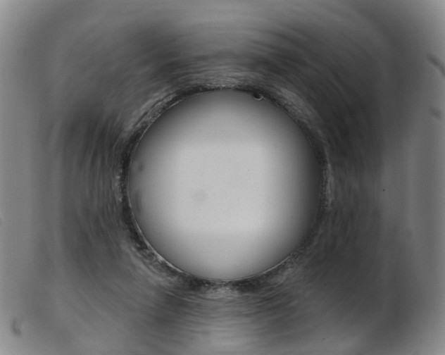 X0000103950258200809191217
