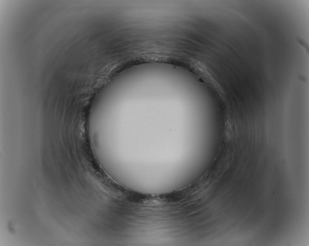 X0000103950259200809191217