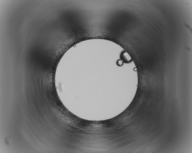 X0000103950260200809191217