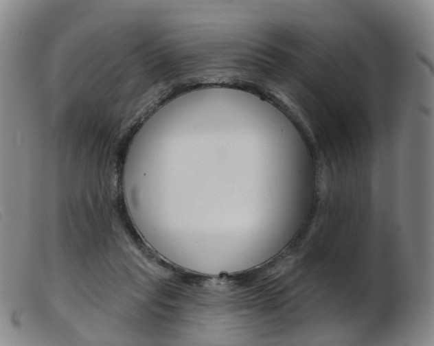 X0000103950261200809191217