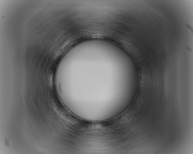 X0000103950262200809191217