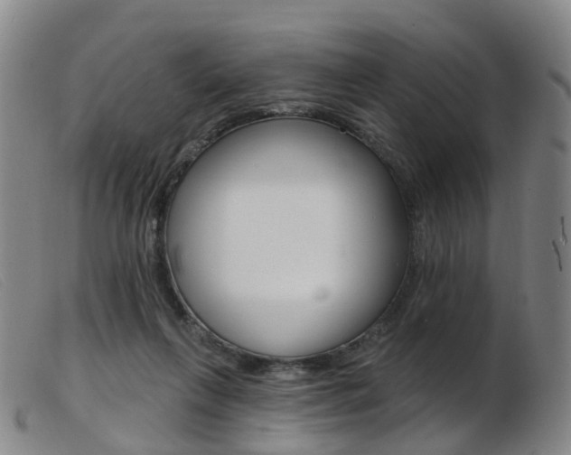 X0000103950263200809191217