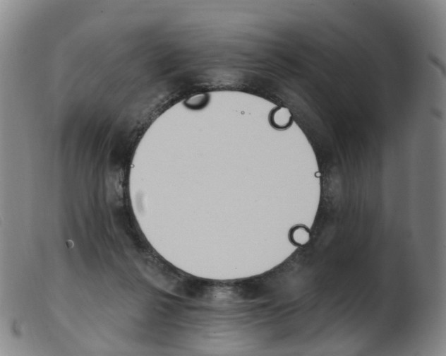 X0000103950264200809191217