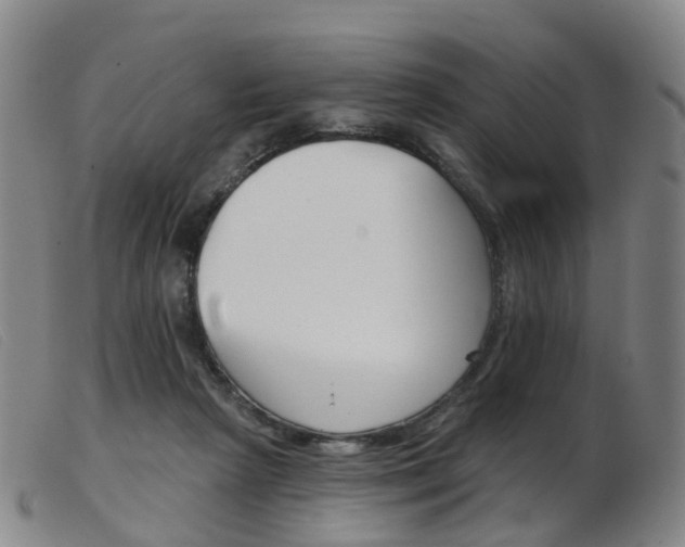 X0000103950265200809191217