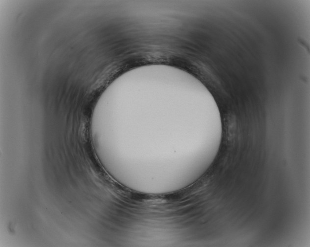 X0000103950266200809191217