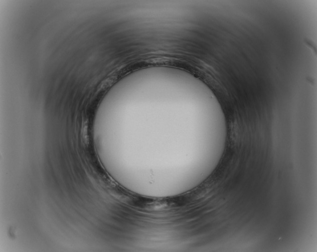 X0000103950267200809191217