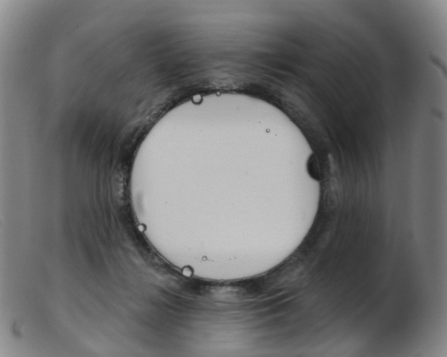 X0000103950268200809191217