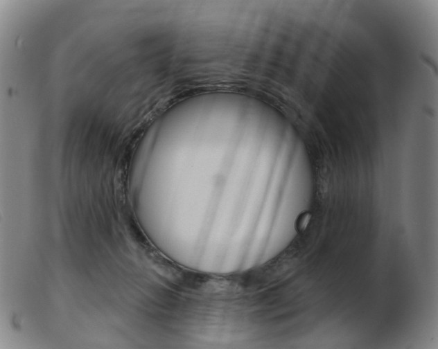 X0000103950270200809191217