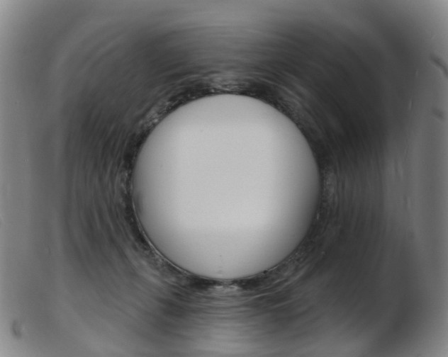 X0000103950271200809191217