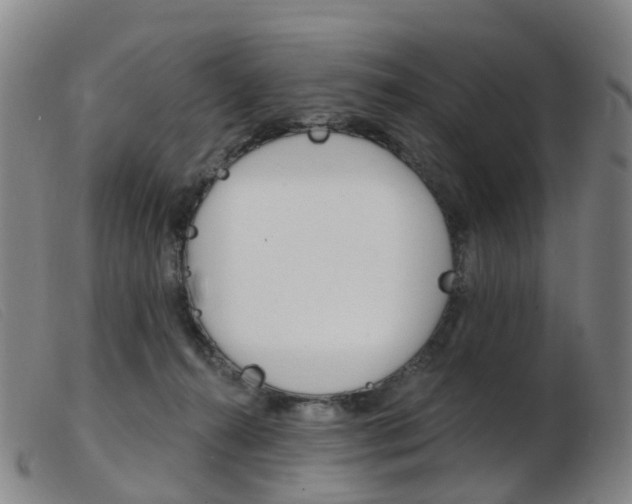 X0000103950272200809191217