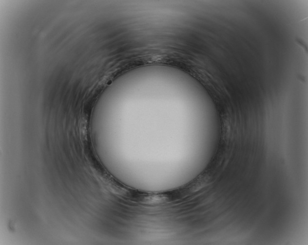 X0000103950274200809191218