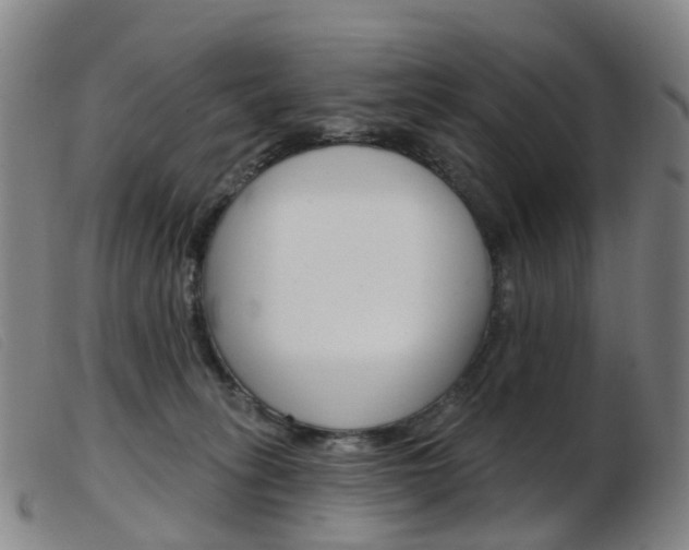 X0000103950275200809191218