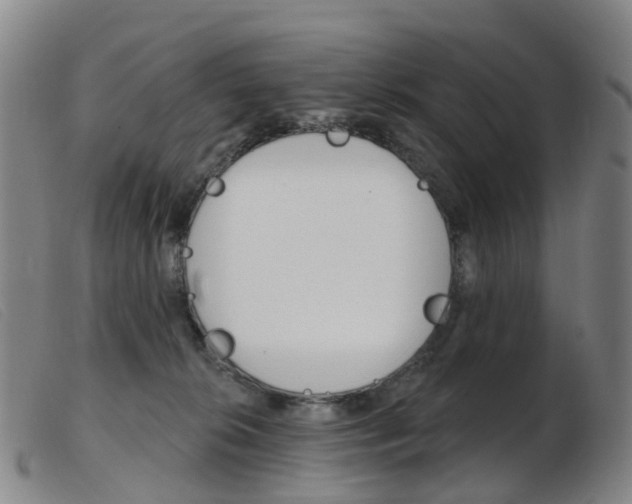 X0000103950276200809191218