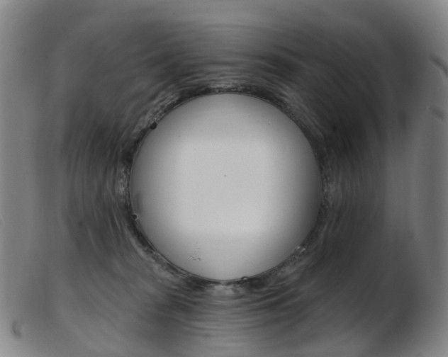 X0000103950277200809191218