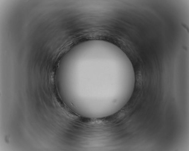 X0000103950278200809191218