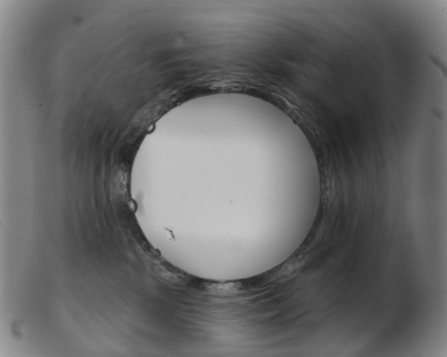 X0000103950281200809191218