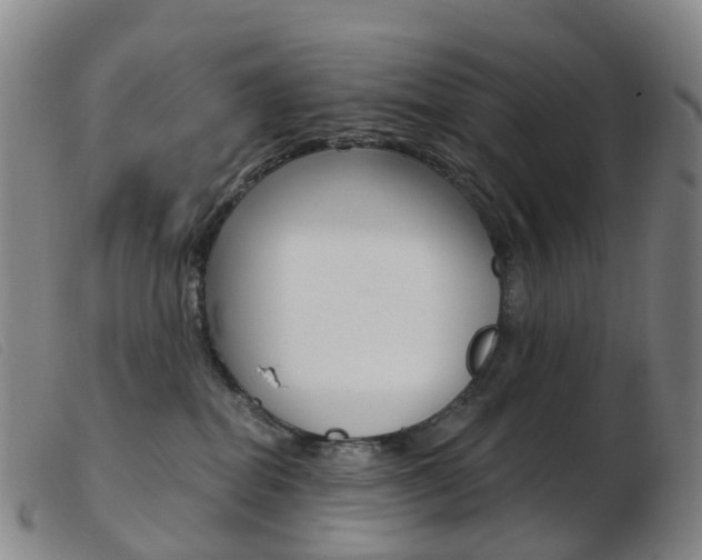 X0000103950282200809191218
