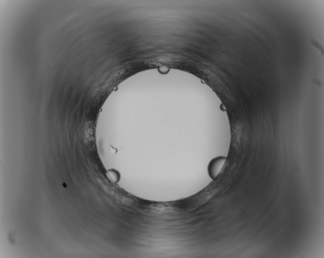 X0000103950284200809191218