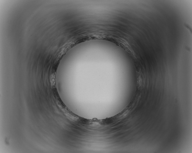 X0000103950285200809191218