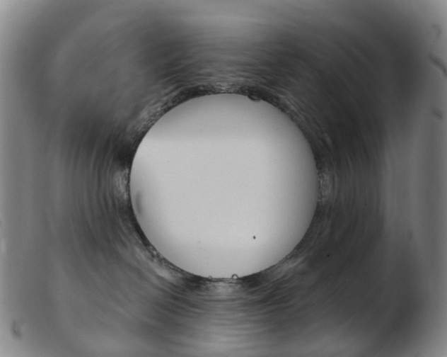 X0000103950286200809191218