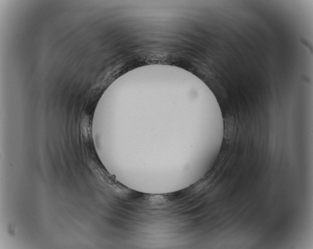 X0000103950287200809191218