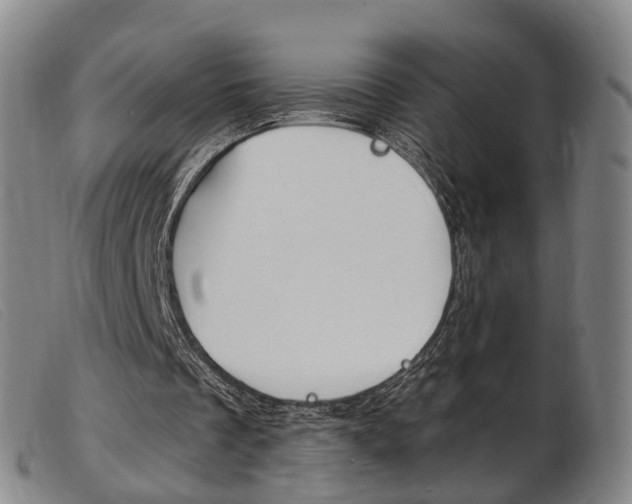 X0000103950289200809191217