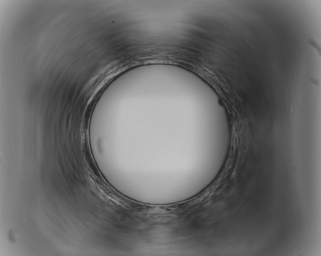 X0000103950290200809191217