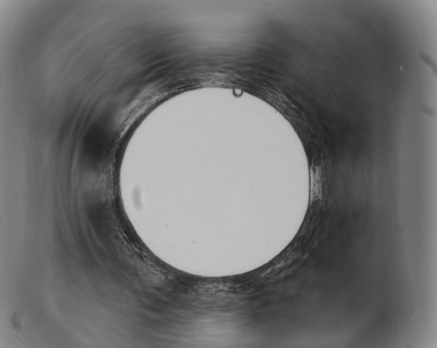 X0000103950291200809191217