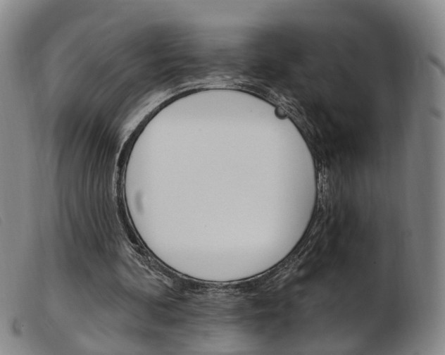 X0000103950292200809191217