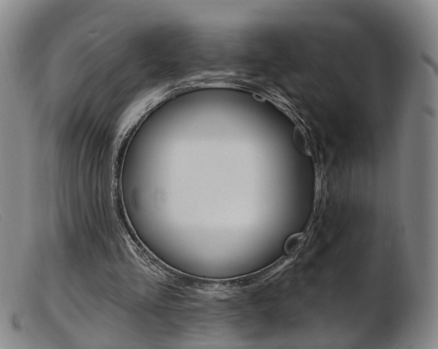 X0000103950293200809191217