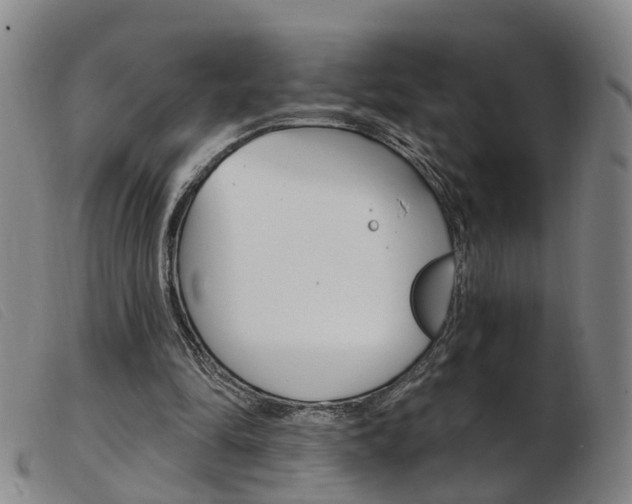 X0000103950294200809191217