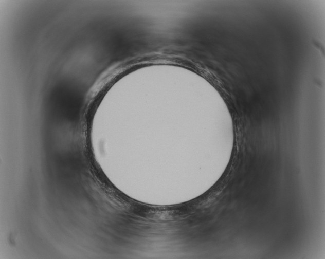 X0000103950295200809191217