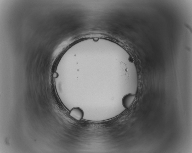 X0000103950296200809191217
