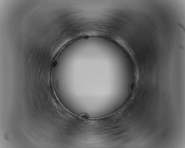 X0000103950297200809191217