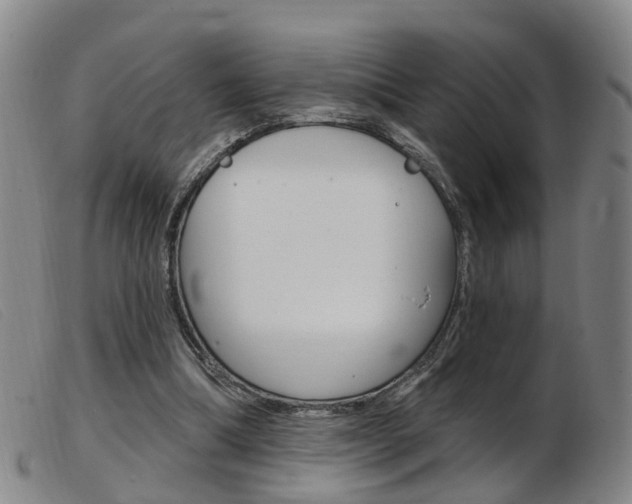 X0000103950298200809191217