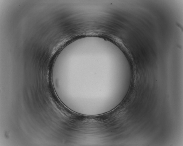 X0000103950299200809191217