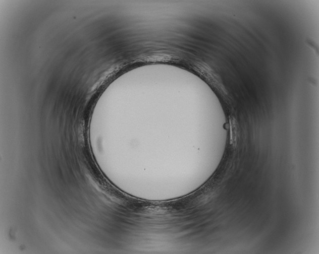 X0000103950300200809191217