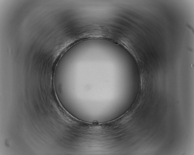 X0000103950301200809191217